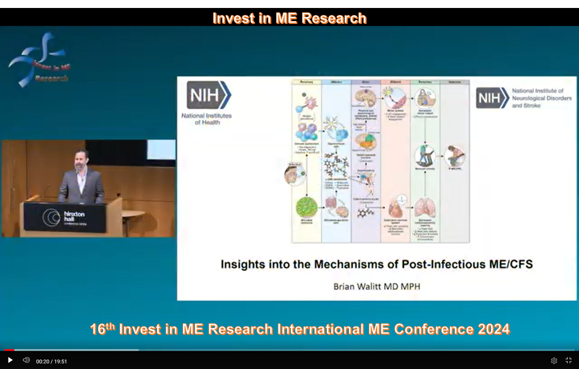 IIMEC16 Speaker