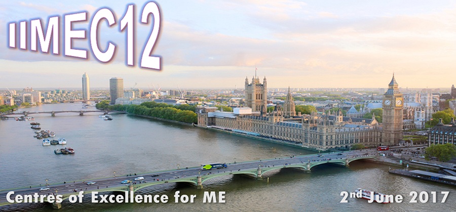IIMEC12 